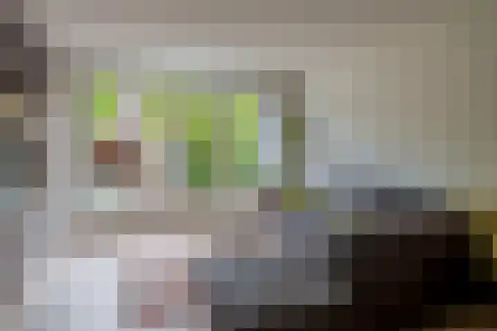 Igor Stravinskisingel 26 Rotterdam thumbnail 12