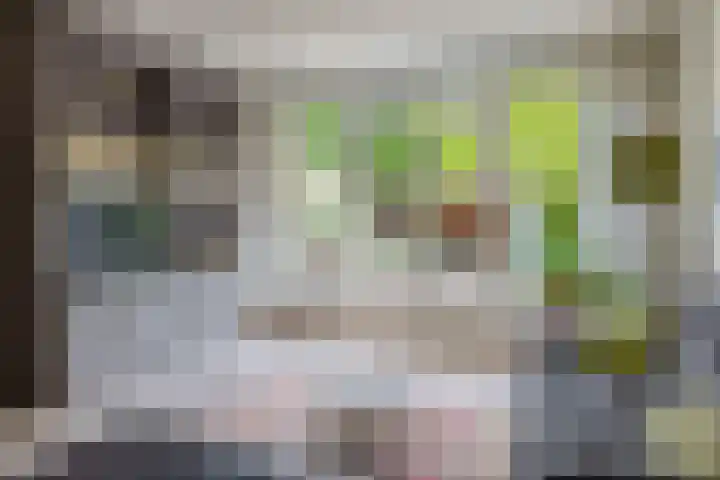 Igor Stravinskisingel 26 Rotterdam thumbnail 13