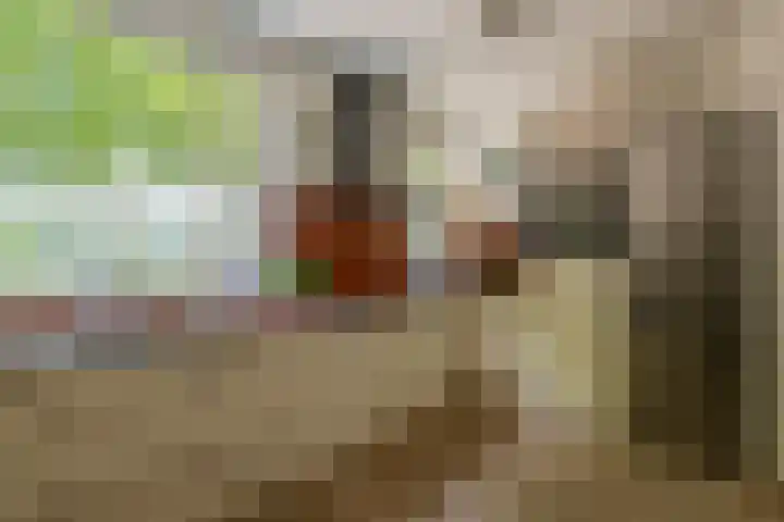 Igor Stravinskisingel 26 Rotterdam thumbnail 24
