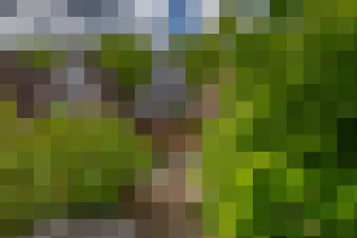 Igor Stravinskisingel 26 Rotterdam thumbnail 38