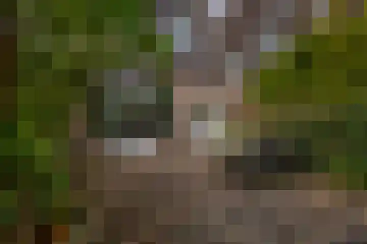 Igor Stravinskisingel 26 Rotterdam thumbnail 42