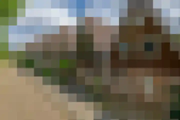 Igor Stravinskisingel 26 Rotterdam thumbnail 54