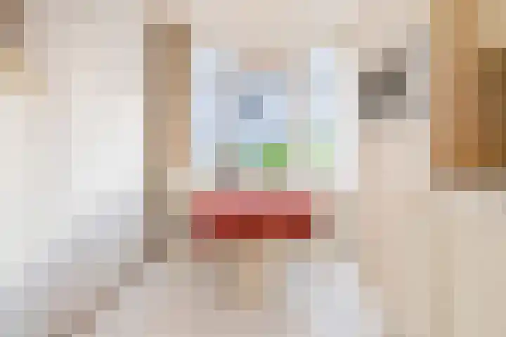 Igor Strawinskystraat 1 Zaandijk thumbnail 12