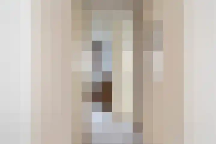 Igor Strawinskystraat 1 Zaandijk thumbnail 22