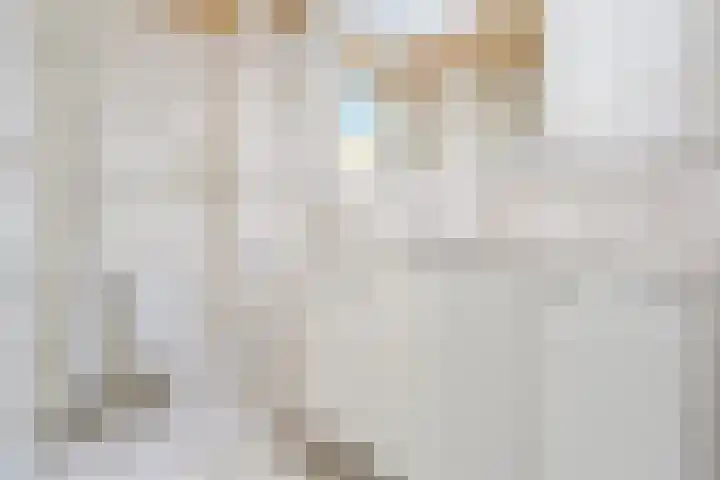 Igor Strawinskystraat 1 Zaandijk thumbnail 24