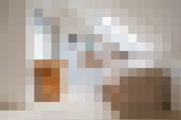 Igor Strawinskystraat 1 Zaandijk thumbnail 27