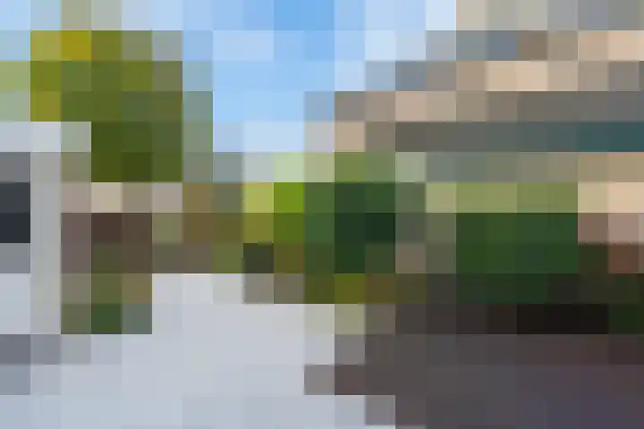Igor Strawinskystraat 1 Zaandijk thumbnail 29