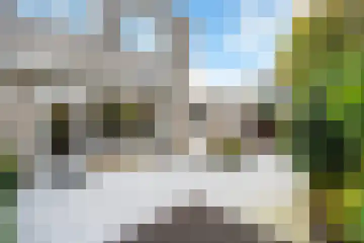 Igor Strawinskystraat 1 Zaandijk thumbnail 30