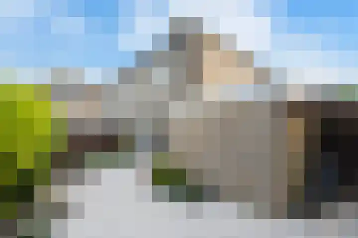 Igor Strawinskystraat 1 Zaandijk thumbnail 31