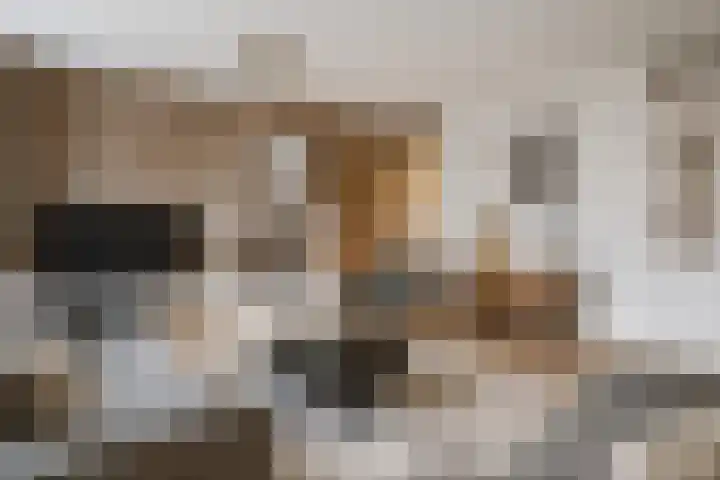 Igor Strawinskystraat 1 Zaandijk thumbnail 4