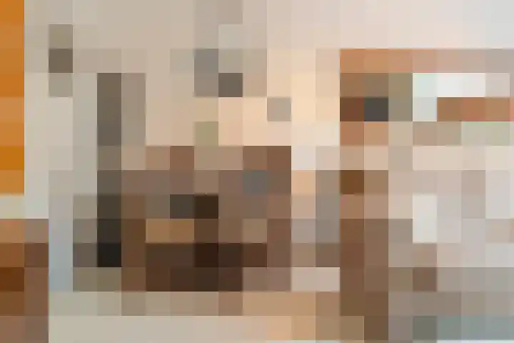 Igor Strawinskystraat 1 Zaandijk thumbnail 5