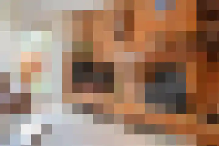 Igor Strawinskystraat 1 Zaandijk thumbnail 7