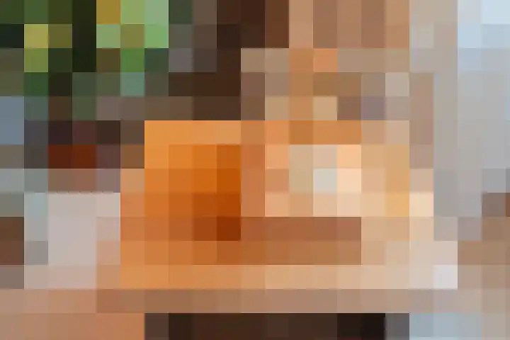 Igor Strawinskystraat 1 Zaandijk thumbnail 8