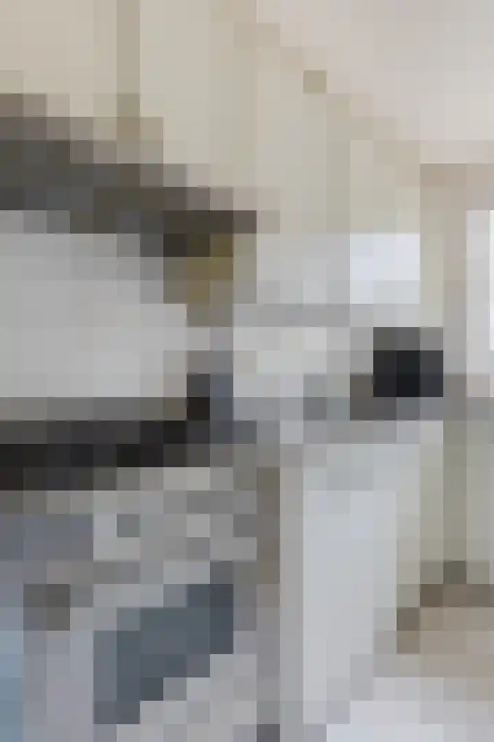 Igor Strawinskystraat 18 Zaandijk thumbnail 13