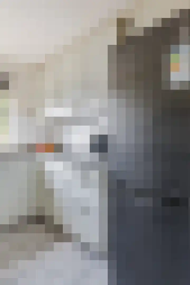 Igor Strawinskystraat 18 Zaandijk thumbnail 14