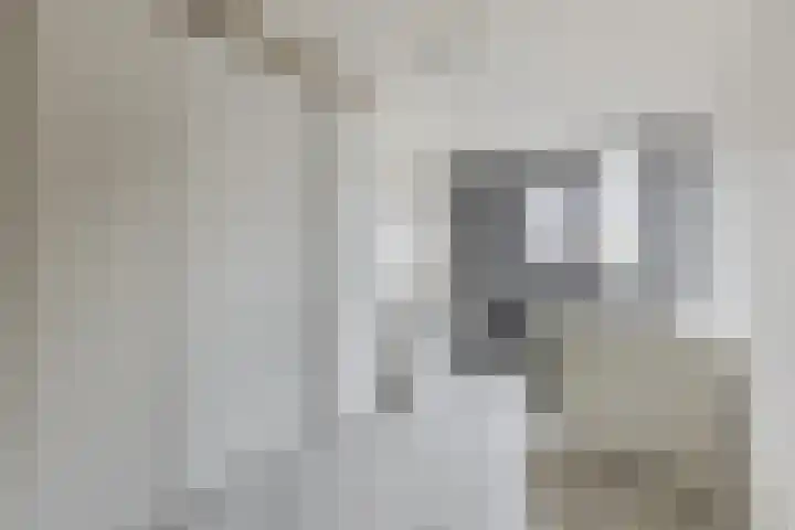 Igor Strawinskystraat 18 Zaandijk thumbnail 19