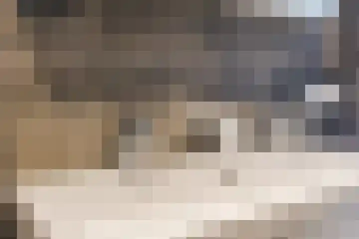 Igor Strawinskystraat 18 Zaandijk thumbnail 24