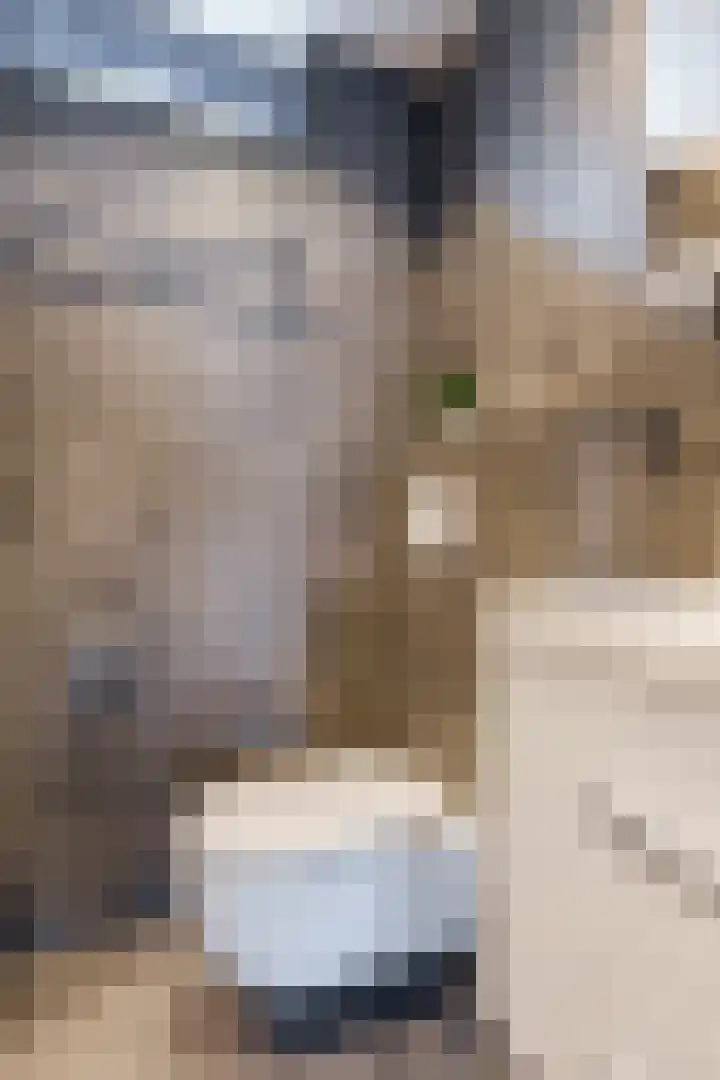 Igor Strawinskystraat 18 Zaandijk thumbnail 26