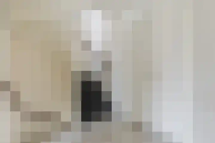 Igor Strawinskystraat 18 Zaandijk thumbnail 27