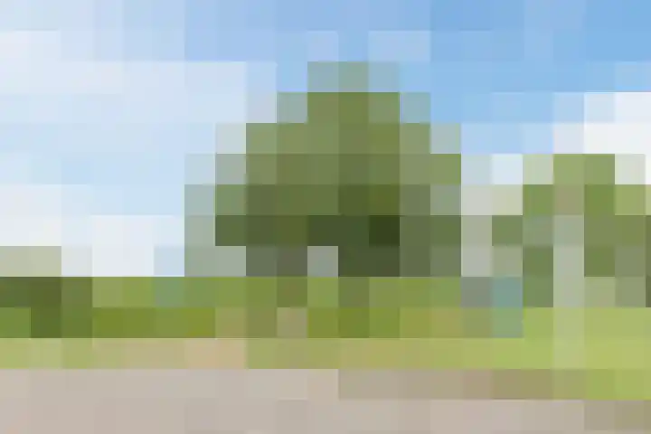 Igor Strawinskystraat 18 Zaandijk thumbnail 38