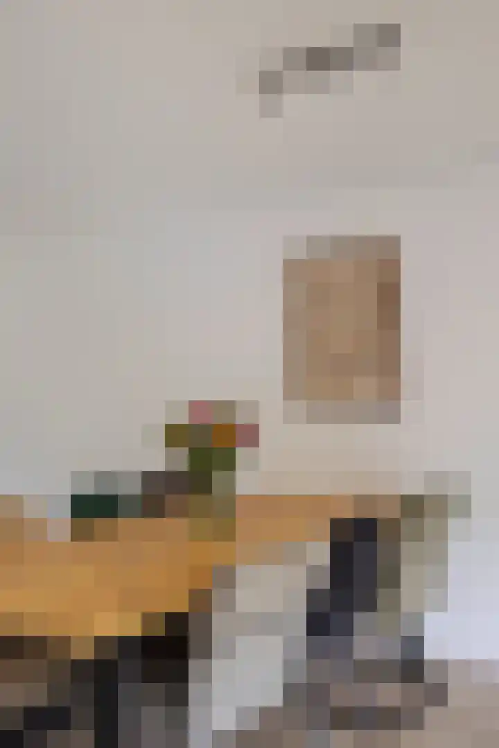 Igor Strawinskystraat 23 Zaandijk thumbnail 14