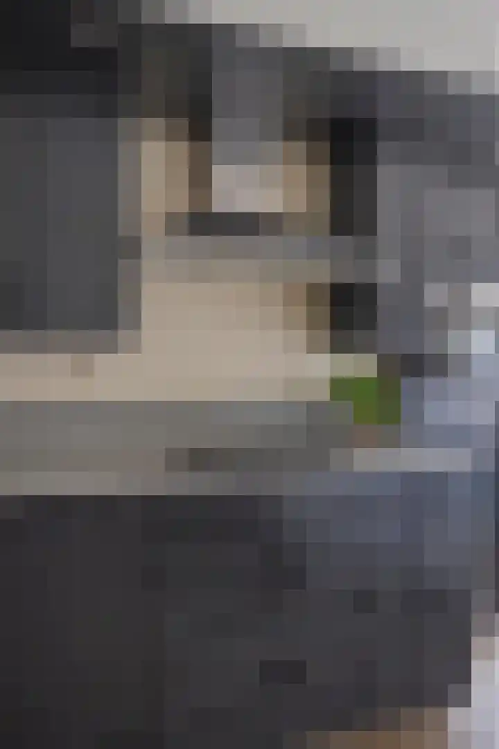 Igor Strawinskystraat 23 Zaandijk thumbnail 16
