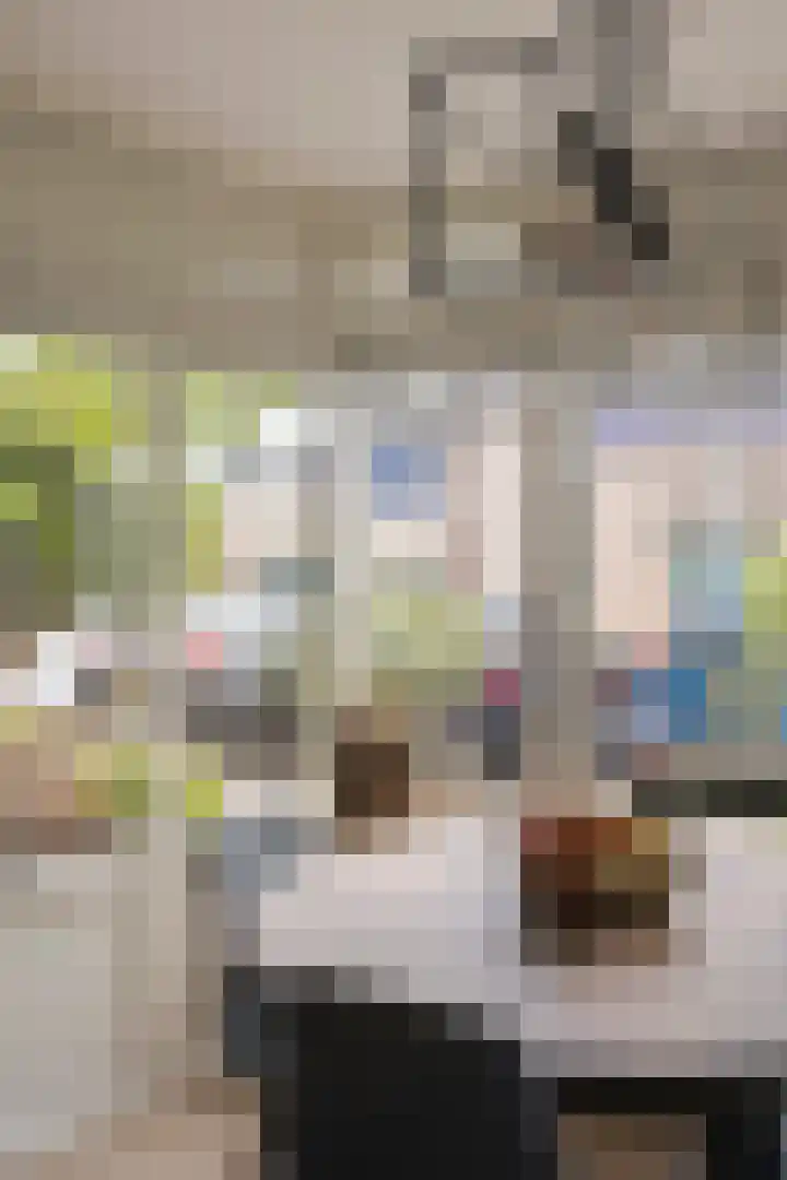 Igor Strawinskystraat 23 Zaandijk thumbnail 18
