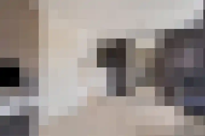Igor Strawinskystraat 23 Zaandijk thumbnail 21