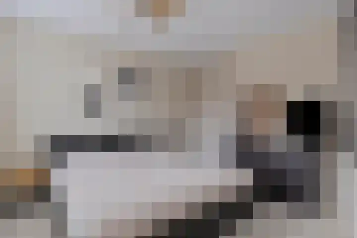 Igor Strawinskystraat 23 Zaandijk thumbnail 23