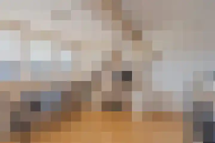 Igor Strawinskystraat 23 Zaandijk thumbnail 29