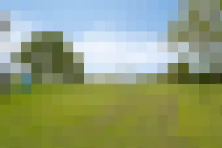 Igor Strawinskystraat 23 Zaandijk thumbnail 39