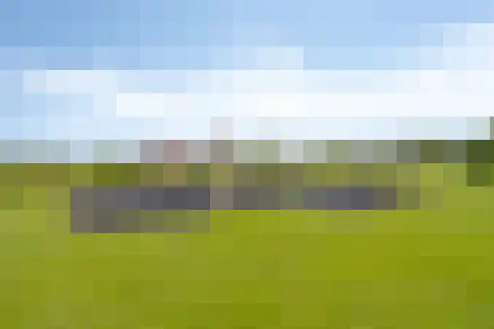 Igor Strawinskystraat 23 Zaandijk thumbnail 40