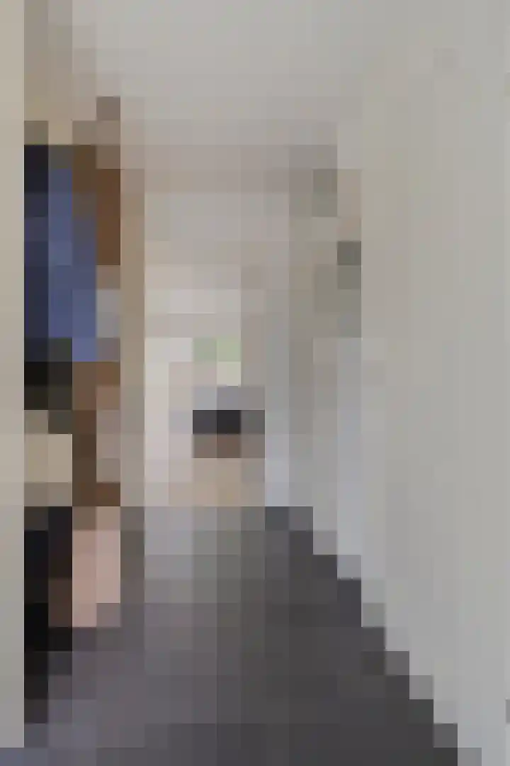Igor Strawinskystraat 23 Zaandijk thumbnail 6