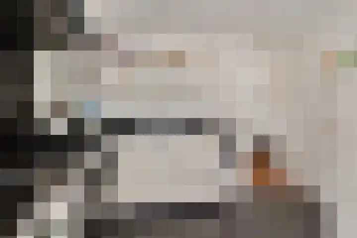 Igor Strawinskystraat 29 Zaandijk thumbnail 10