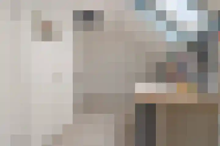 Igor Strawinskystraat 29 Zaandijk thumbnail 27