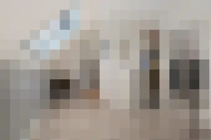 Igor Strawinskystraat 29 Zaandijk thumbnail 28