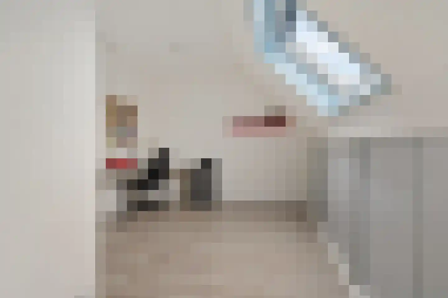 Igor Strawinskystraat 29 Zaandijk thumbnail 29