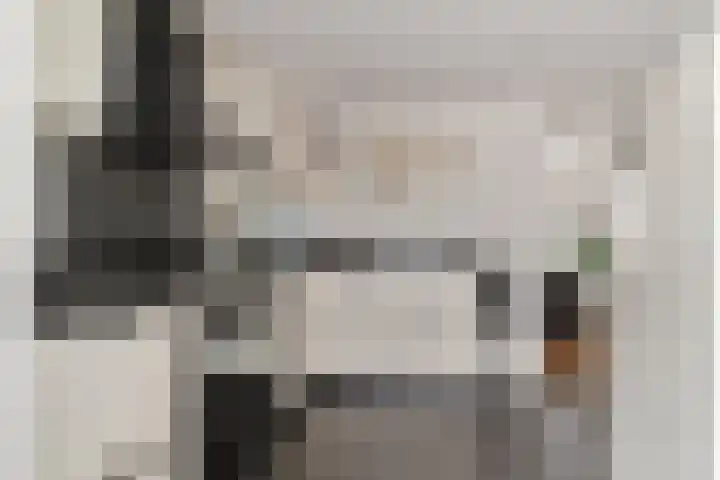 Igor Strawinskystraat 29 Zaandijk thumbnail 9