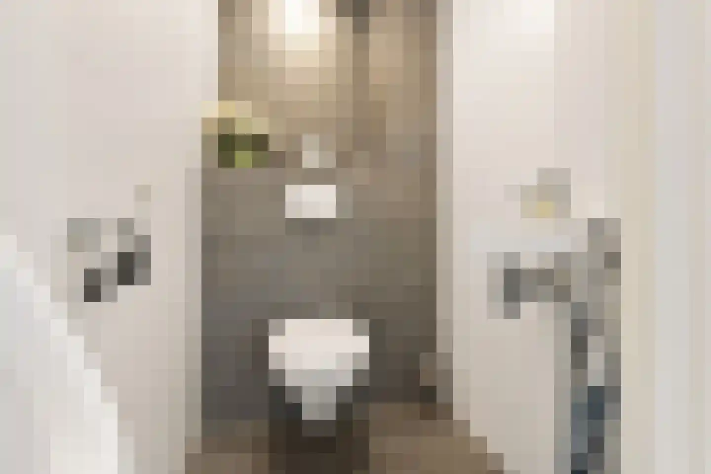 Igor Strawinskystraat 3 Zaandijk thumbnail 17