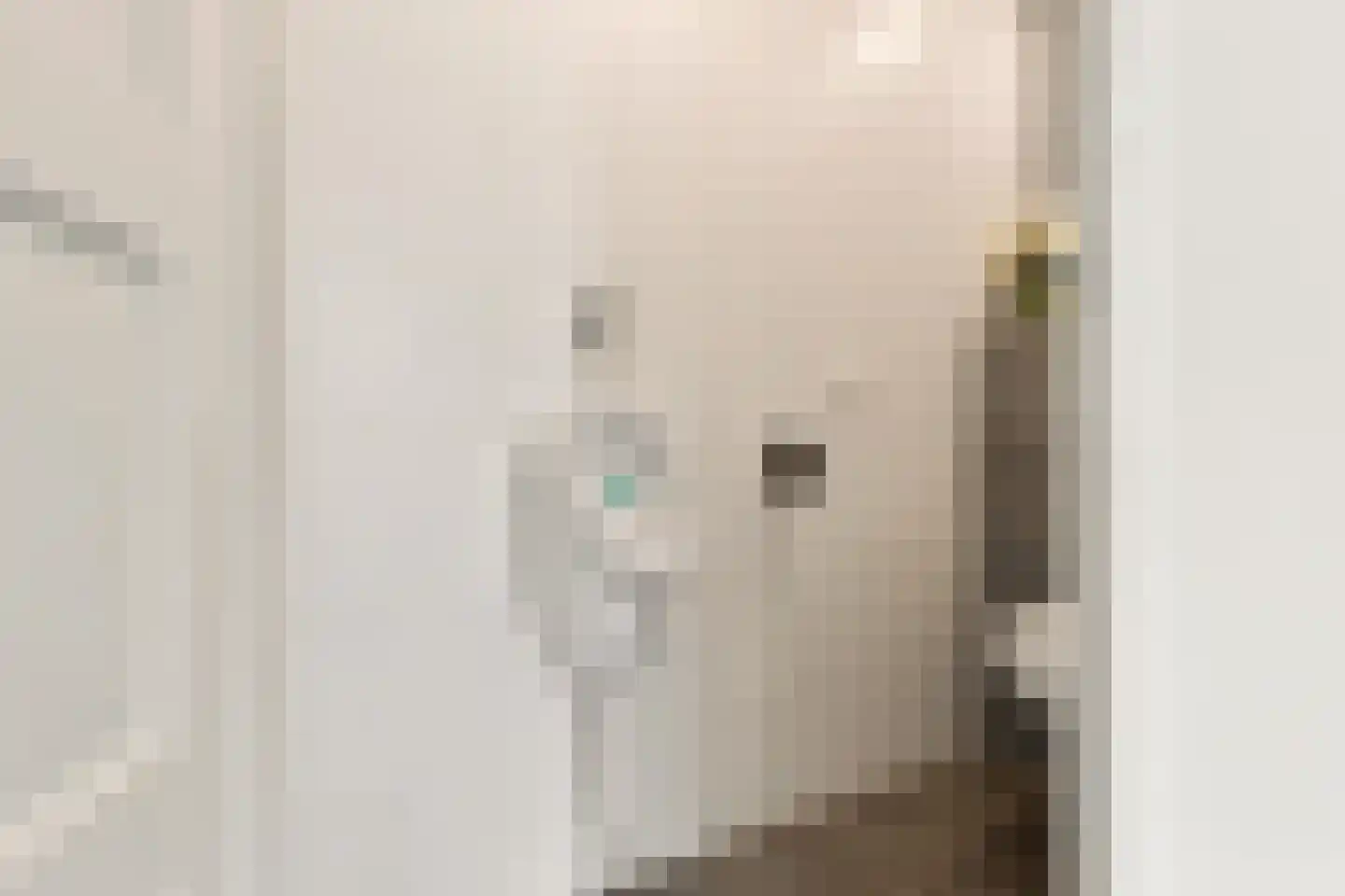 Igor Strawinskystraat 3 Zaandijk thumbnail 18