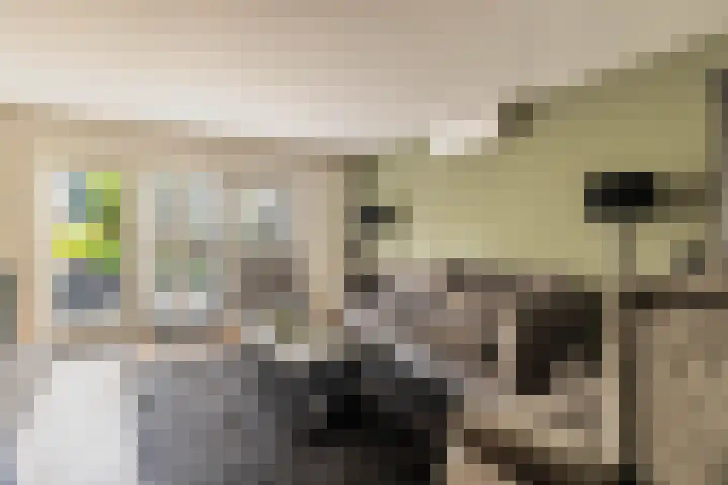 Igor Strawinskystraat 3 Zaandijk thumbnail 20