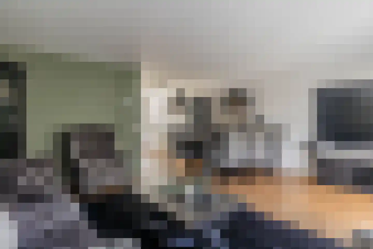 Igor Strawinskystraat 3 Zaandijk thumbnail 21