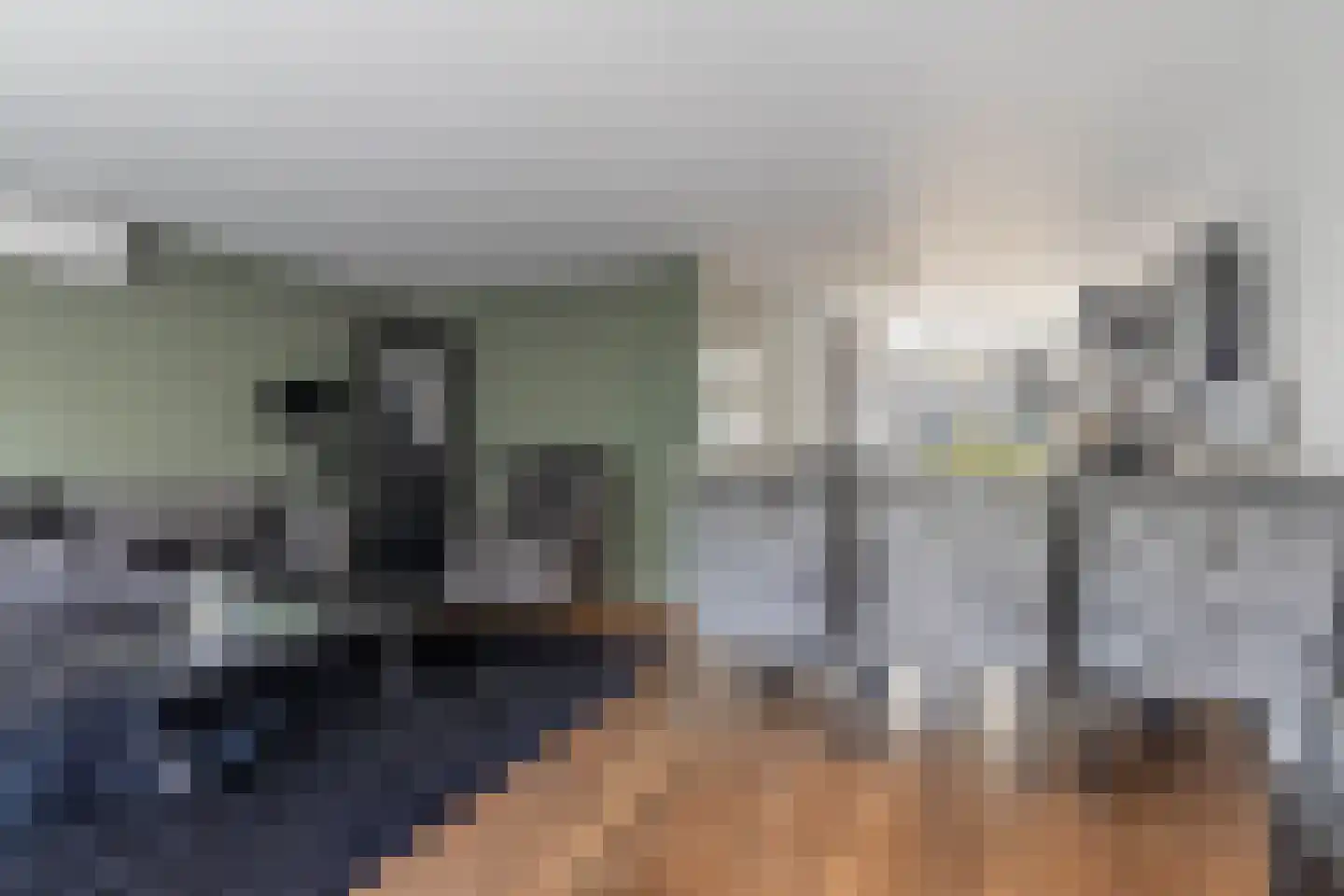 Igor Strawinskystraat 3 Zaandijk thumbnail 22