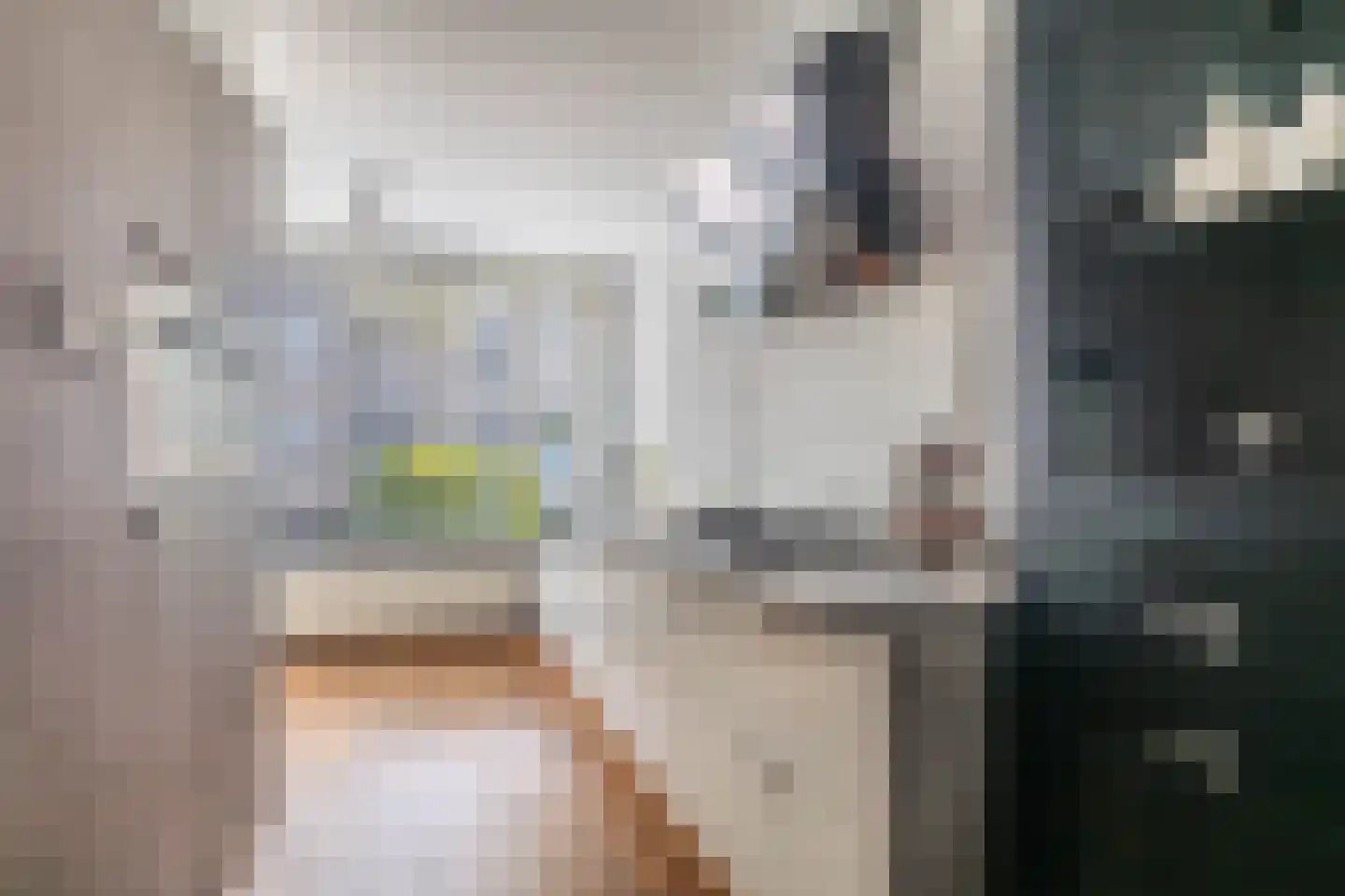 Igor Strawinskystraat 3 Zaandijk thumbnail 24