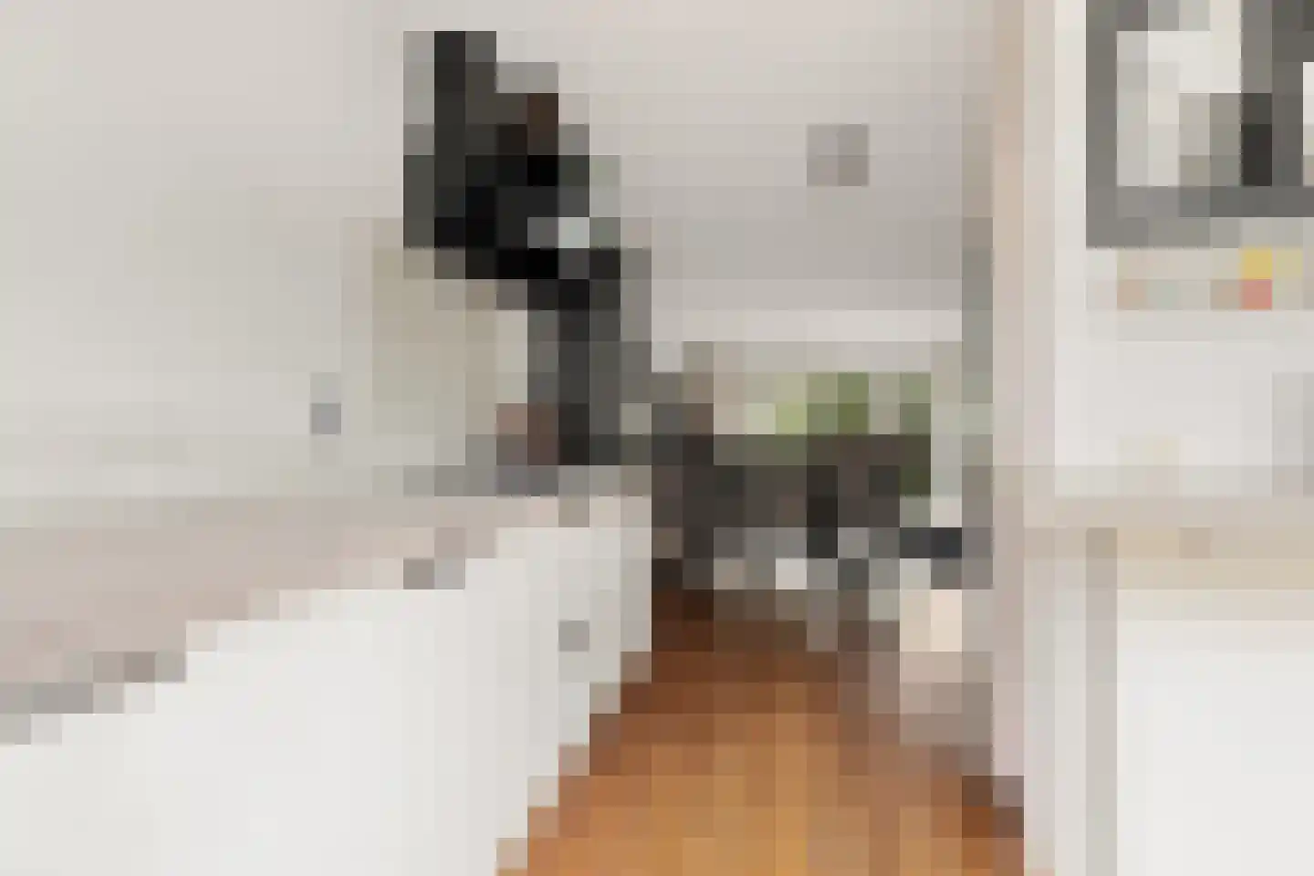Igor Strawinskystraat 3 Zaandijk thumbnail 25
