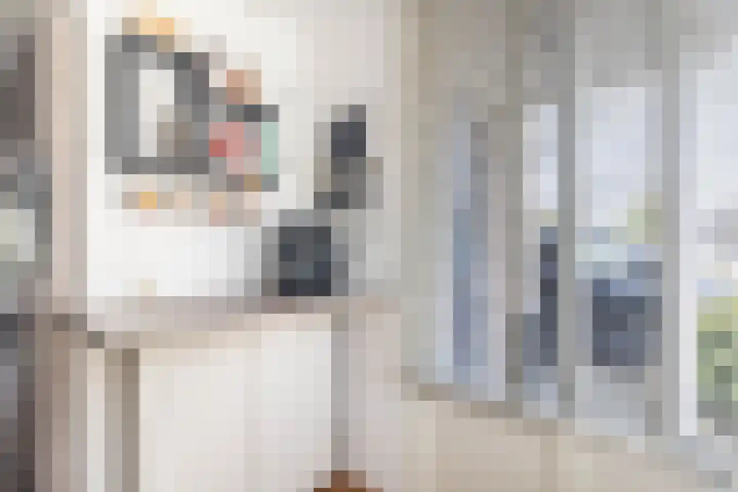 Igor Strawinskystraat 3 Zaandijk thumbnail 26