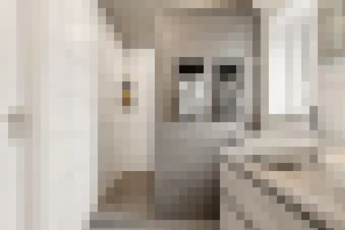 Igor Strawinskystraat 3 Zaandijk thumbnail 41