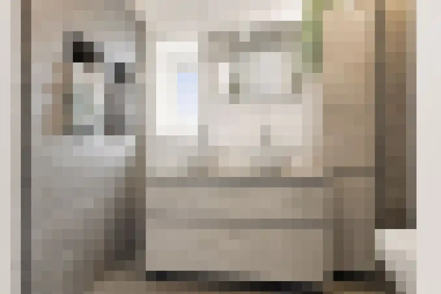 Igor Strawinskystraat 3 Zaandijk thumbnail 42