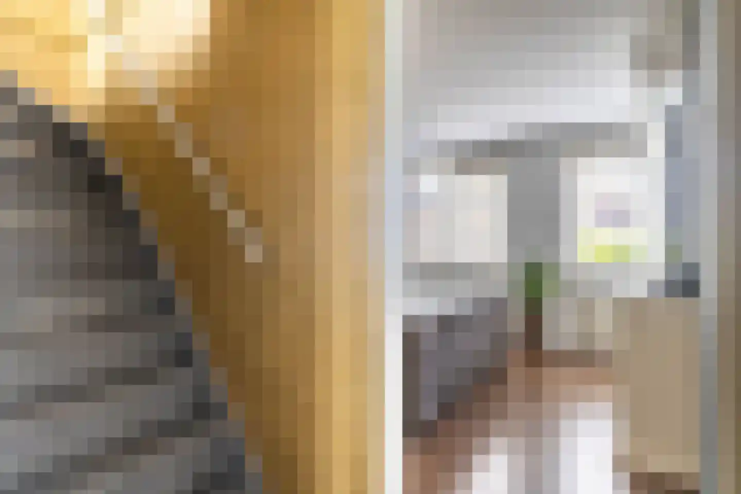 Igor Strawinskystraat 3 Zaandijk thumbnail 44