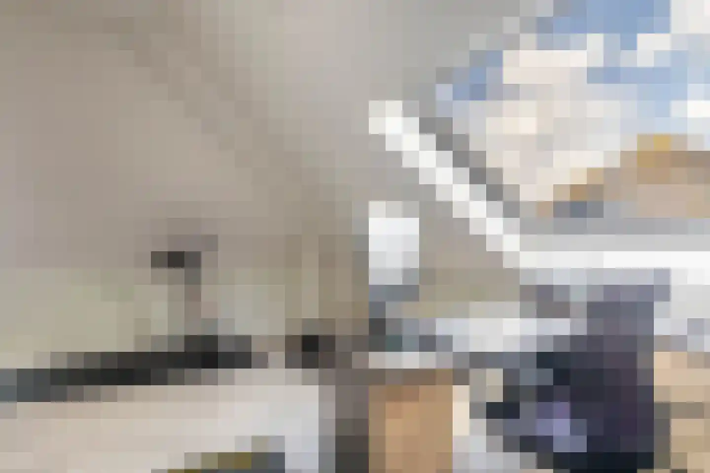Igor Strawinskystraat 3 Zaandijk thumbnail 47